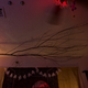 Things were stuck upon it. I thought it was gonna be more fairies and butterflies, but I’m not the decorator.